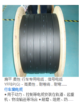 扁平電纜在天梯特種裝備中的關鍵作用及TVVB-G系列電纜的技術解析