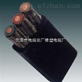 YFB電纜3*50橡套扁平軟電纜 工業動力的柔性之選 ——探尋商機，牽線中國安防展覽網